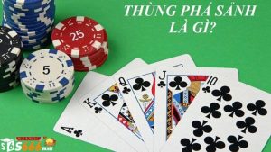 Thùng Phá Sảnh Là Gì? Khám Phá Chi Tiết Về Thùng Phá Sảnh Thùng Phá Sảnh Là Gì? Khám Phá Chi Tiết Về Thùng Phá Sảnh