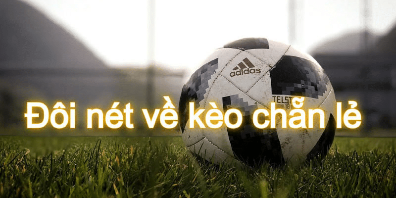 Kèo chẵn lẻ là gì? Bí kíp nào để cược thủ bắt kèo chẵn lẻ chuẩn Kèo chẵn lẻ là gì? Bí kíp nào để cược thủ bắt kèo chẵn lẻ chuẩn